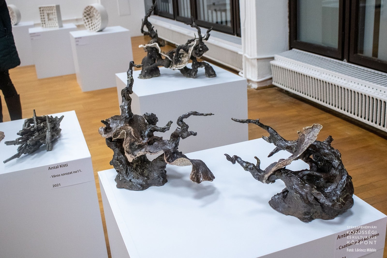 Közelebb a 30-hoz - fiatal művészek kiállítása Székesfehérváron